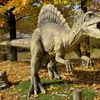 【古生物紹介】スピノサウルス(Spinosaurus)