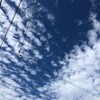 振り向けば夏空