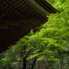 初夏の室生寺　広角ズーム編
