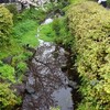 北沢川緑道〜東大駒場