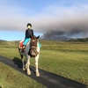 【熊本旅行】阿蘇山周辺のおすすめ観光スポットとドライブルートその2