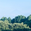 今朝の景色