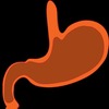 胃潰瘍と胃がんの違いはどのような症状があるの？