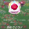 ピクミンブルーム＊その３３　ボタンのコミュニティデイ