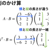 第5回：RとPythonで学ぶデータサイエンス数学~行列基礎~