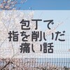 包丁で指を削いだ主婦歴11年目の春