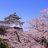 番外編　甲府城・さくら祭