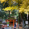 【奈良】春日大社「祓戸神社」の大イチョウ――手水と参拝で心身スッキリ