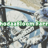 KhodaaBloom Farna Clarisを買ってしまいました（後編）