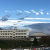 マンション花壇　葉牡丹など植え付け