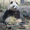 しつこく今年も目指しますよコンプリート！　〜②上野動物園　その１