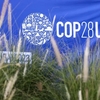 「COP28の矛盾」－気候変動対策の偽善と疑念