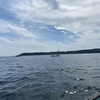 串本カセ釣り 2021年4月24日（土）
