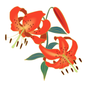 記事一覧 やへむぐら 季節のイラスト 記事一覧 やへむぐら 季節のイラスト