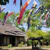 長屋門公園の鯉のぼり