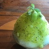 1年ぶりです！