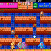 私のアーケードゲーム履歴書　セルフィーナ　その２