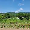 ひまわり🌻畑耕運開始