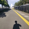 危険な暑さと自分を元気にする運動