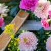 【写真で観光】春の花手水が可愛らしい、郡山市(福島)の豊景神社を参拝してきました！