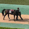 東京競馬10R プリンシパルステークス ◎12 ルヴォルグ