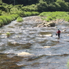 ６月１日　鮎漁解禁