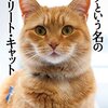 ボブという名のストリート・キャット