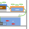 自作アクアポニックス器の作り方