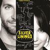 映画：世界にひとつのプレイブック Silver Linings Playbook  ８部門ノミネート中でおおいに期待したが...