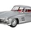 タミヤ 1/24 メルセデスベンツ 300SL、1/24 ランサーエボリューションV WRC、1/48 アキリーズ、トミカ いすゞ エルフ