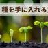 【実体験】ブログを土台に撒く種を手に入れる方法