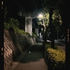Photo No.1964 / 夏季休暇2日目