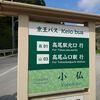 小仏城山～高尾山・お花見で国際交流
