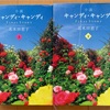 キャンディキャンディ　小説版　Final Story