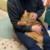 猫オフィス　240225