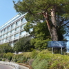 ＊先日、母の見舞いに所沢まで。