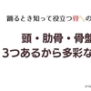 頭・肋骨・骨盤　3つあるから多彩な動き