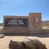 ジョシュアツリー国立公園　Joshua Tree National Park アメリカ旅行