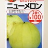 【病気で撤収】水耕栽培で「ニューメロン」作りにチャレンジ！甘くなるように祈りながら育てています