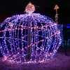 国営昭和記念公園 Winter Vista Illumination 2010 （３）
