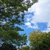 秋空