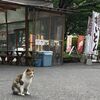 鬼怒川・日光旅行２日目：中禅寺湖〜日光