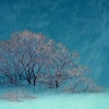 いつしか明けむ布勢の海の浦を･･･巻第18-4038～4042