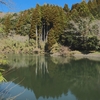 泉水の堰（千葉県大多喜）