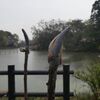 雨の中、鳥の声を聞く