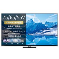 REGZA 75E770Sを本音レビュー！Mini LEDで映画もゲームも別次元、75インチの完成度が高すぎる