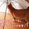 〔Stay AtHome〕パワフルな音楽を聴いて元気を出そう！！