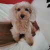 人生を大きく変える