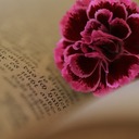 ママンの書斎から