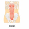 1日10分でくびれが手に入る？その③